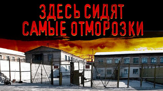 Самая страшная тюрьма России / Правда о «Полярной Сове»