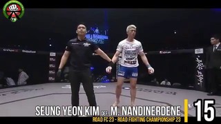 Best Knockouts in MMA in 2016, the best top 30 knockouts