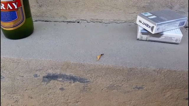 Видео приуроченное к старту съёмок «Человек муравей»