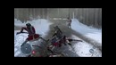 Assassin`s creed III edited by predator