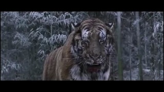 Клип фильма. Великий Тигр