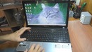 Нет интернета Не видит Wi-Fi сети. Ноутбук Packard Bell EasyNote TE11