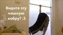 В чём секрет плавности? (Gimbarr)