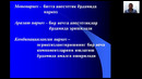 5-дарс зоом видио