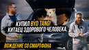 Купил электромобиль BYD – учусь не страдать. Как воспринимать китайцев всерьез
