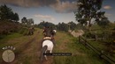 TheBrainDit ►Безумные Ограбления ● Red Dead Redemption 2 #11