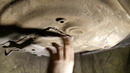 Восстановление Honda. Профессиональный антикор. Как это