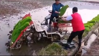 Машина для посадки риса