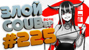 Злой best coub forever #225