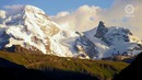 Как я стал вегетарианцем. Вегетарианство и выносливость. Владимир Васильев