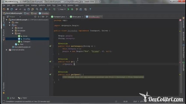Java SE- Урок 25. Интерфейсы