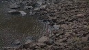 Баскетболист установил мировой рекорд, бросив с вершины водопада мяч
