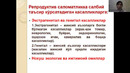 Репродуктив саломатлик ва унинг тамойиллари