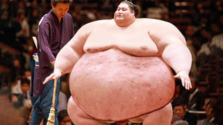 12 вещей, которые вы не знали о борцах сумо