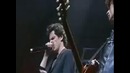 Michael GREGORIO – Vocal Guitar – voice imitation