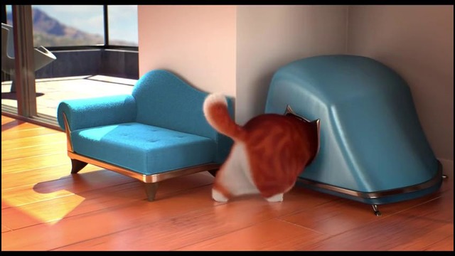 Короткометражный мультик Селфи кота