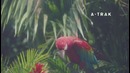 Calvin Harris – Funk Wav Bounces Vol.1 (Album Trailer)