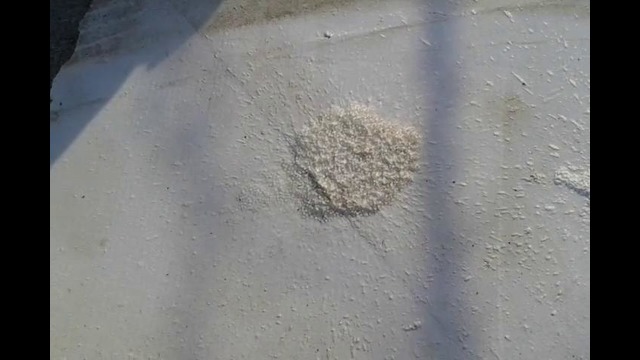 Бензин и пенопласт