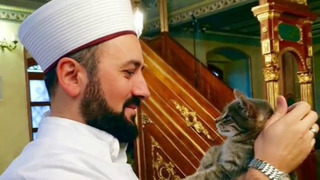 Кошка пришла в мечеть, что сделал имам поразительно