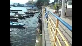 Неудачная попытка девушки сесть в лодку
