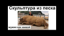 Лютые приколы. Самая крутая скульптура из песка