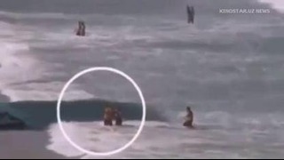 В Бразилии акула напала на туристку на пляже