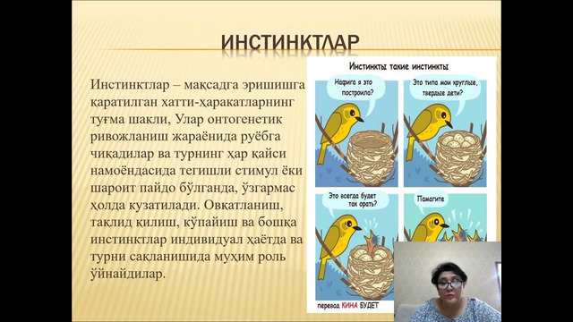 Unit 52 ОНФ физиологияси