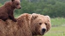 10 мифов о выживании, из-за которых вы можете умереть