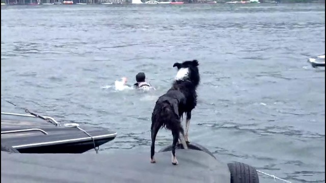 [Speical Clip] MONSTA X – ‘NEWTON’ (NG ver.)