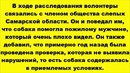 Cобаку-поводыря для слепых избили и бросили умирать в мусор