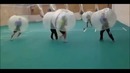 Люди в мячиках играют в мячик