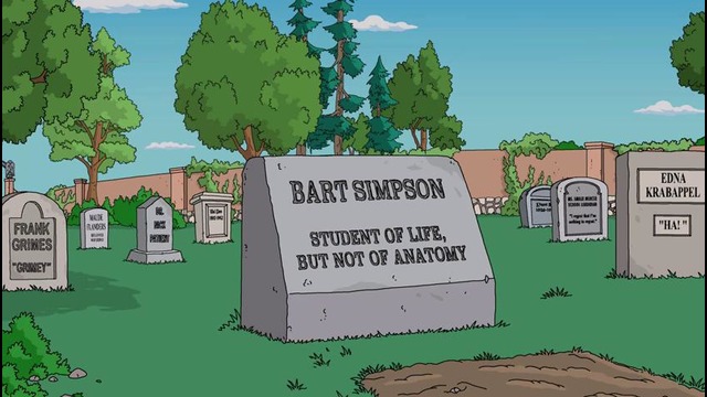 Симпсоны / The Simpsons 28 сезон 22 серия