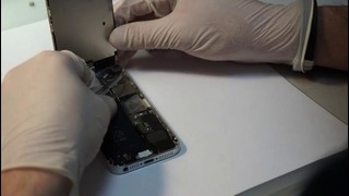 IPhone 5 – как починить аппарат, упавший в воду