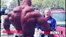 Morgan Aste vs. Big Ramy – Two Biggest Bodybuilders