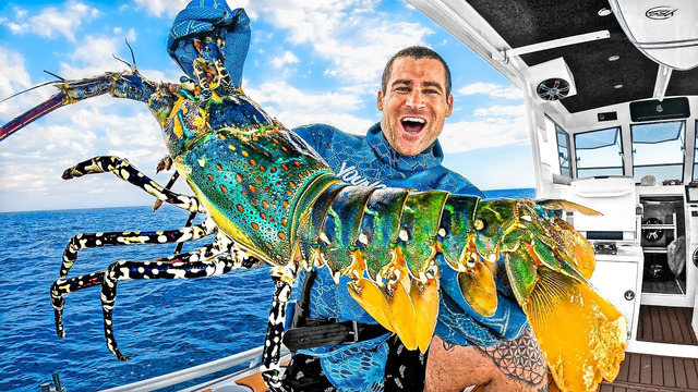 4 Days Boat Camping – Exploring For Sea Creatures