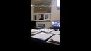 Бу йигит ИИБ ходимларини хақорат қилиб