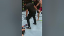 DON’T BLINK!! Jan Blachowicz FINISHED Luke Rockhold! #shorts