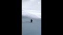 First Runs On Fresh Powder! #Shorts