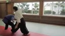 Jujitsu vs aikido