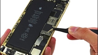IPhone 6 и iPhone 6 Plus: Взгляд изнутри – Appleinsider