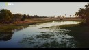 Nat Geo Wild: Вдоль по Окаванго