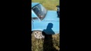 Вот так надо убивать тачки!)