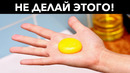 Если вы едите яйца, то должны это знать