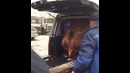 Загрузка ковша в легковую машину
