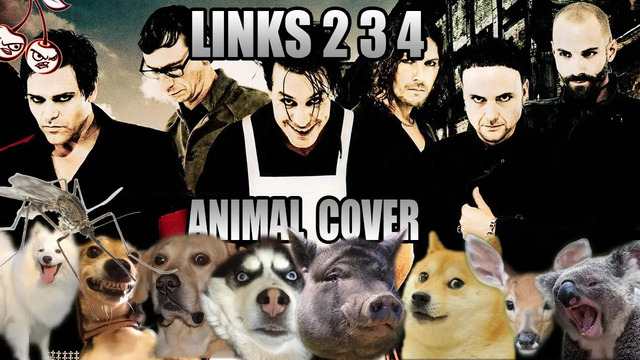Rammstein – Links 2 3 4 (Animal Cover)