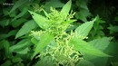 10 КРУТЫХ Фактов, Которые Хотят Знать Все