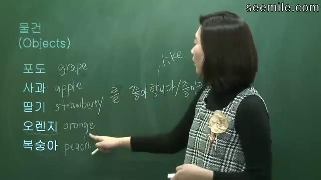 Grammar + Basic phrases by Jenny Lee 8