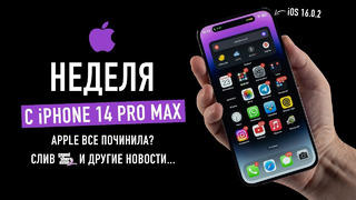 Неделя с iPhone 14 Pro Max. Apple все починила? GTA 6 слили. Wylsa Plus Apple Special Edition