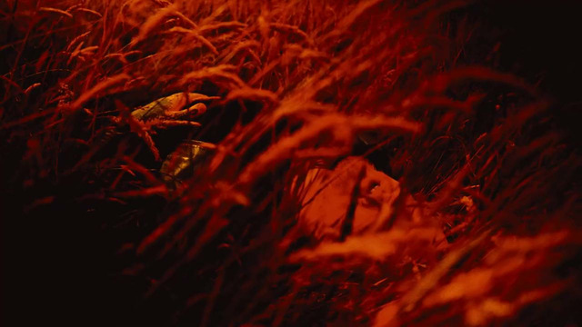 Black Coast – HOPELESS (Official Music Video 2025)