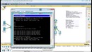 Видео уроки CPT. Курс молодого бойца. Урок 23 (DNS)